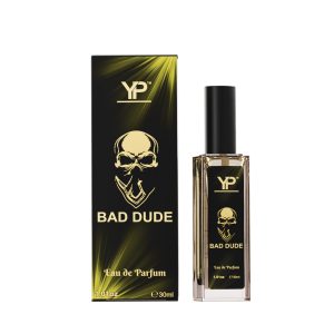 YP. BAD DUDE