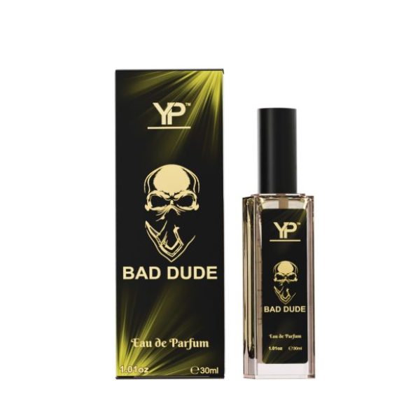 YP. BAD DUDE